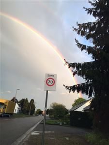 Regenbogen festival - Beringen