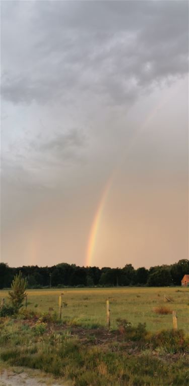 Regenboog boven Stal - Beringen