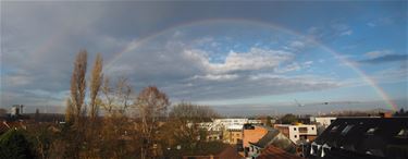 Regenboog gespot - Beringen