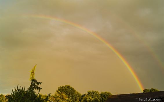 Regenboogweer - Pelt