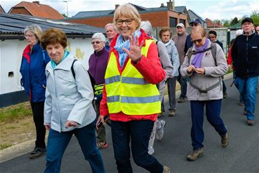 Regionale seniorensportdag - Beringen & Leopoldsburg