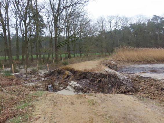 Reigerpad onderbroken - Hechtel-Eksel