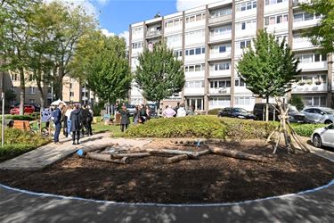 Renovatie van appartementsblok Kolmen - Beringen