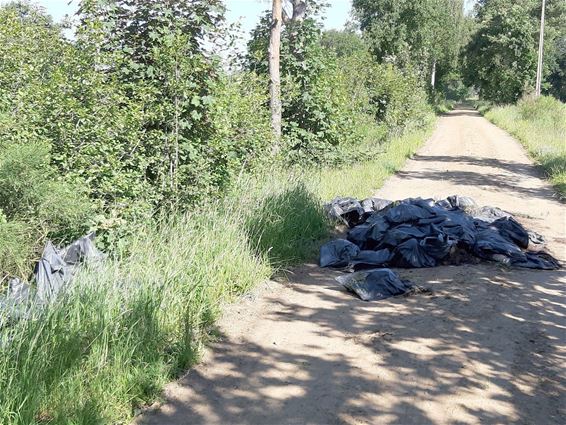 Restanten van wietplantage gedumpt in veldweg - Bocholt