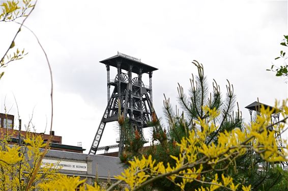 Beringen - Restauratie schachtbok klaar