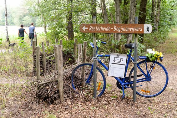 Resterheide Hechtel-Eksel - Beringen & Leopoldsburg