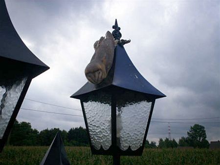 Riempjes rond zijn poten... - Overpelt