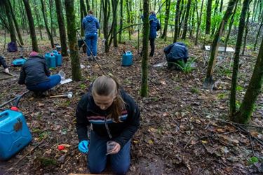 Rijkstrooiselbomen kunnen bos gezonder maken