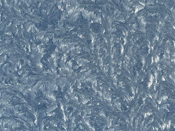 Rijp als kunstwerk op serreglas - Lommel