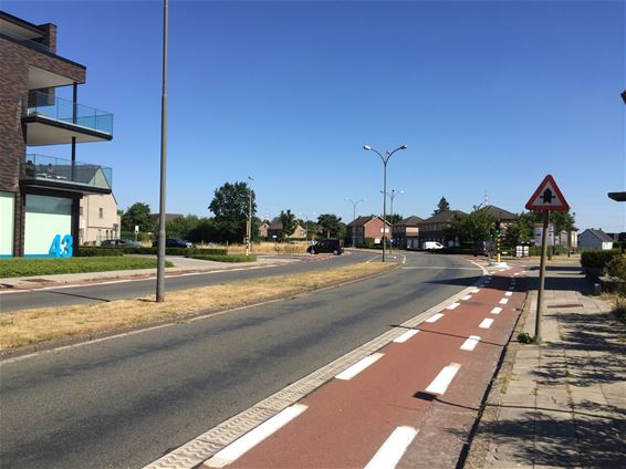 Ringlaan krijgt grondige facelift - Overpelt