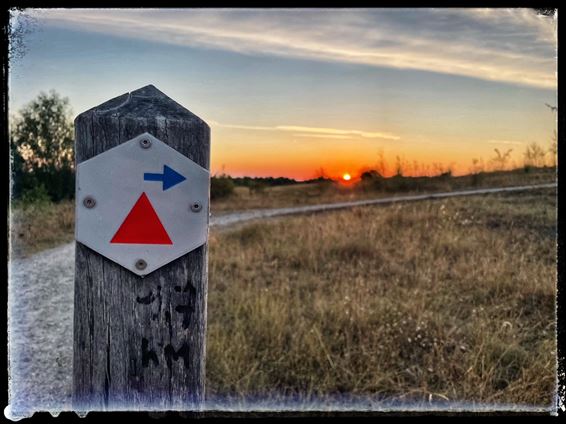 Rode wandeling Beringen-Mijn - Beringen