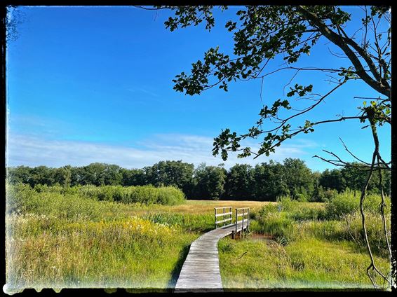 Rode wandeling Koersels Kapelleke - Beringen