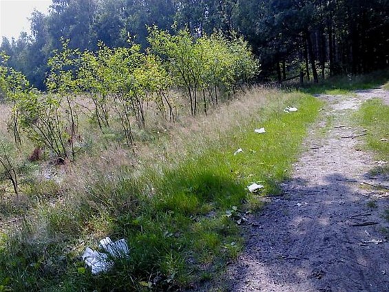 'Roma gebruikten bos als toilet' - Meeuwen-Gruitrode