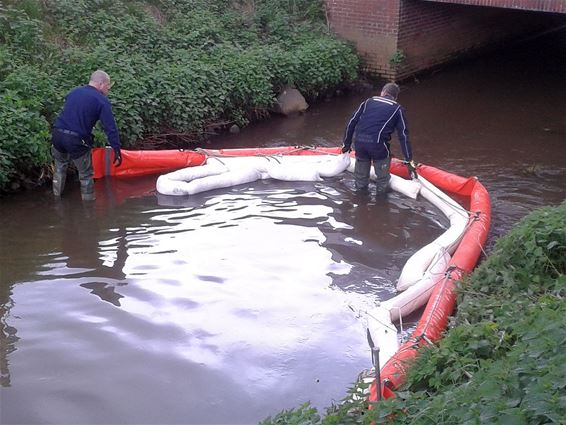 Rommel in de Dommel - Neerpelt