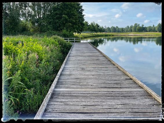 Rondje Paalse Plas - Beringen