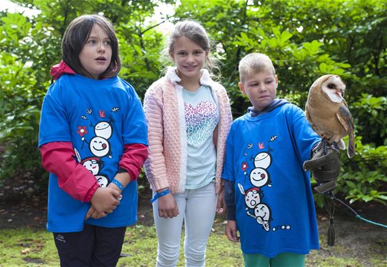 Roofvogelshow bij Akindo - Lommel