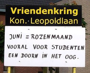 Rozen zonder doornen? - Lommel