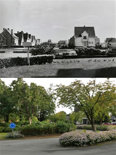 Beringen - Rozenlaan Beringen