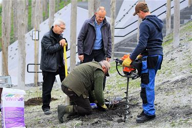 Rozentuin op terril aangeplant - Beringen