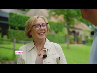 Bree - Rudi Moesen ontdekt de schatten van Bree
