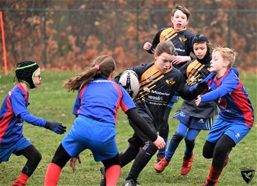 Rugbyteam Lombergen schittert op Hasselts toernooi - Lommel & Oudsbergen