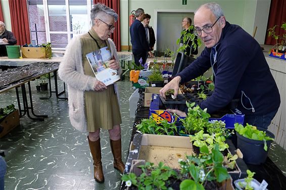 Ruildag Tuinhier Koersel - Beringen