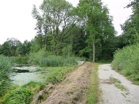 Rustplaats aan A-beek in Meeuwen - Meeuwen-Gruitrode