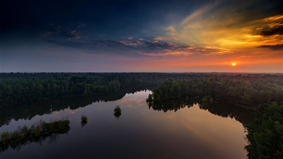 Sahara bij zonsopgang - Lommel