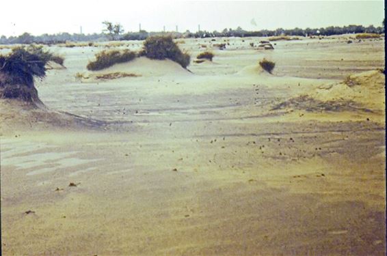 Sahara en stort anno 1970 - Lommel