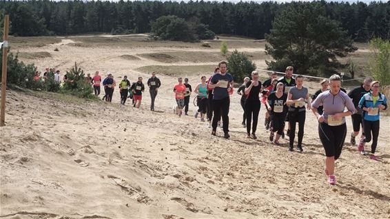 Sahara is mooiste loopplekje van Vlaanderen - Lommel