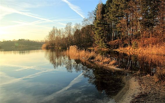 Sahara of... chemtrails? - Lommel