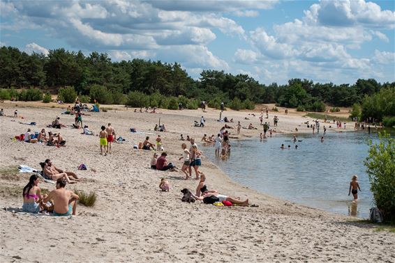 Sahara erg populair vandaag - Lommel