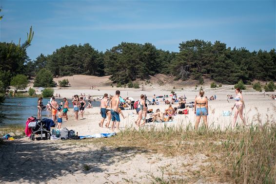 Sahara zeer populair vandaag - Lommel