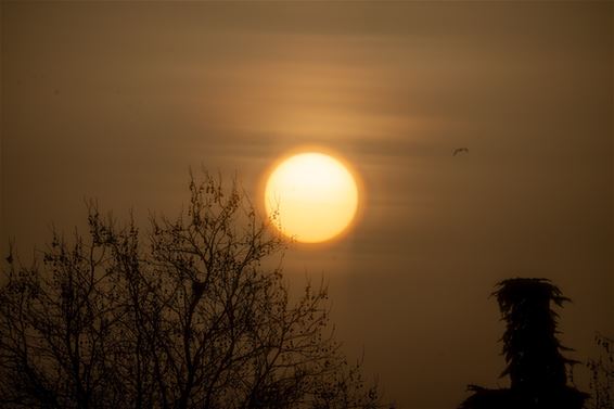 Lommel - Saharazand kleurt de lucht boven Lommel