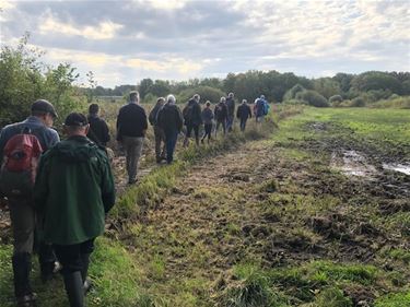 SAL bezoekt vallei van de Zwarte Beek - Beringen