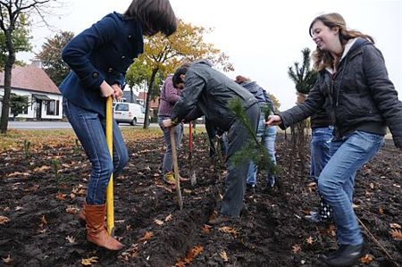 Samen bomen planten, ja gezellig - Lommel