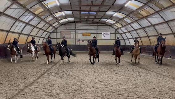 Lommel - Samen een paardenshow in mekaar steken