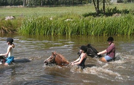Samen nat worden, lekker gezellig - Neerpelt