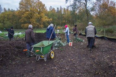 Samentuin Velt-De Motten klaar voor de lente - Beringen