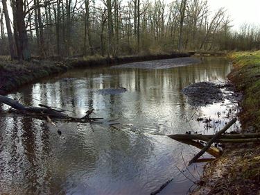 Sanering Winterbeek - Beringen