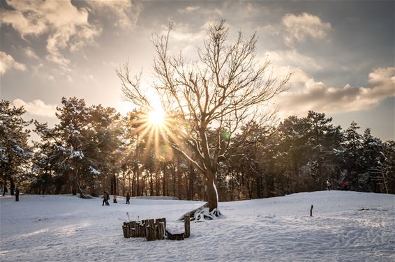 Sara Martens vangt straaljagers en sneeuwpracht - Hechtel-Eksel