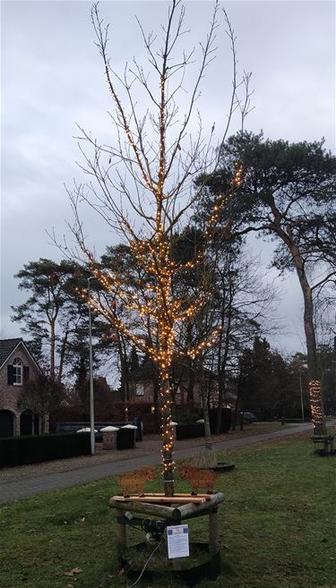 Lommel - Schaapjes tellen in Lommel