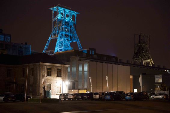 Schachtbok kleurt blauw - Beringen