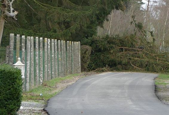 Storm: Park Dommelhof en Achelsendijk afgesloten - Neerpelt
