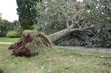 Schade door stormweer