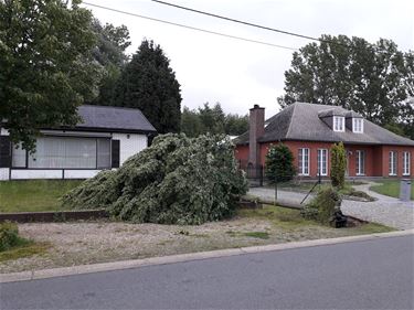 Schade van storm kan je nog melden - Beringen