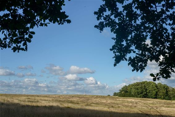 Schaffen: Vliegveld Wandelpad - Beringen