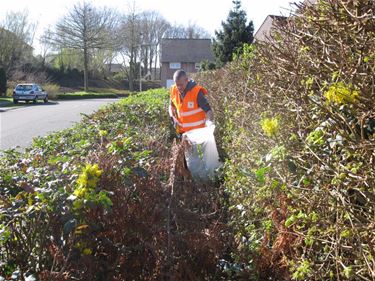 Schepen Schops ruimt zwerfvuil - Beringen