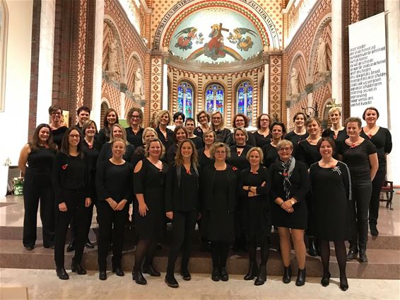 Schitterend optreden De Buitingklokjes Paal - Beringen