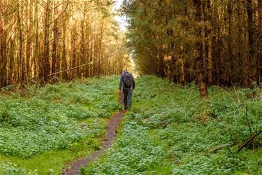 Schitterende herfstwandeling Milieu 2000 - Lommel